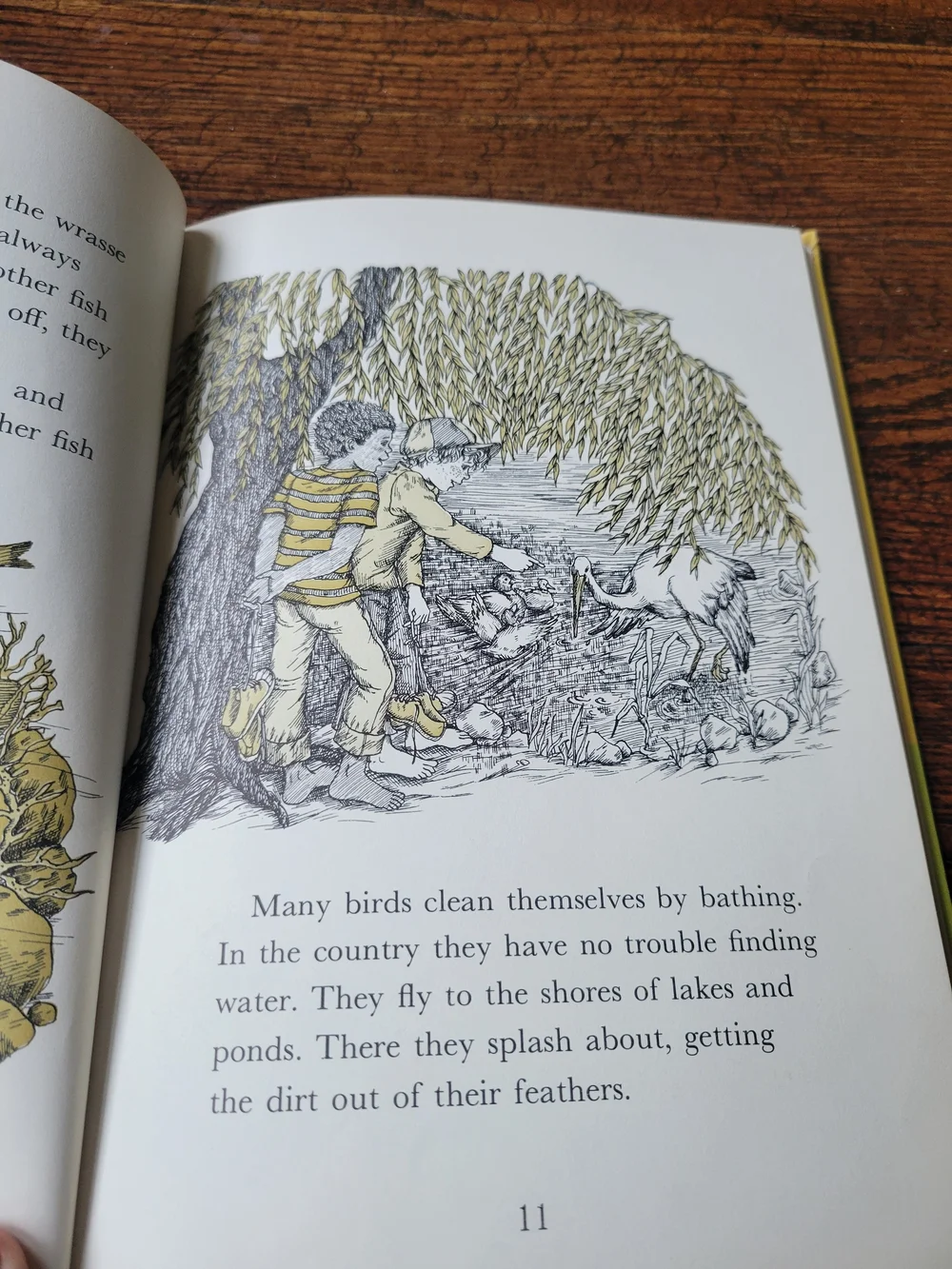 N/A book shown